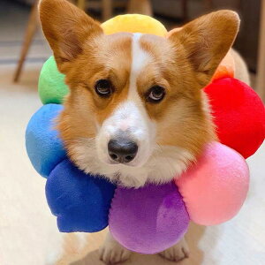 GUxXJ[ GJ p@Lp ybgpi@pی  p RۏL p㕞 r r h~  畆 ×p e D