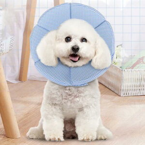 GUxXJ[ GJ p@Lp ybgpi@pی  p RۏL p㕞 r r h~  畆 ×p e D