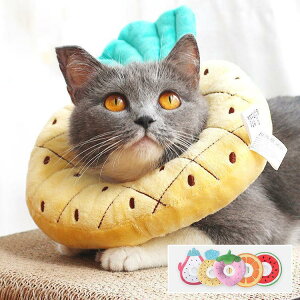 GUxXJ[ GJ p@Lp ybgpi@pی  p RۏL p㕞 r r h~  畆 ×p e D