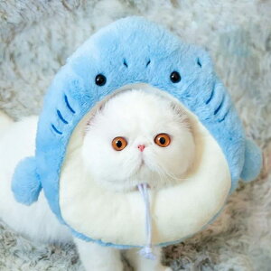 GUxXJ[ GJ p@Lp ybgpi@pی  p RۏL p㕞 r r h~  畆 ×p e D