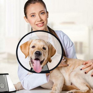 2_/4_Zbg GUxXJ[ GJ p Lp ybgpi pی  p RۏL p㕞 r r h~  畆 ×p