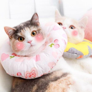 �G���U�x�X�J���[ �G���J�� ���p�@�L�p �y�b�g�p�i�@�p��ی� ��� ��p�� �R�ۏ��L �p�㕞 ���r�� ���r�� ���������h�~ ���� �畆���� ��×p ���e ��D