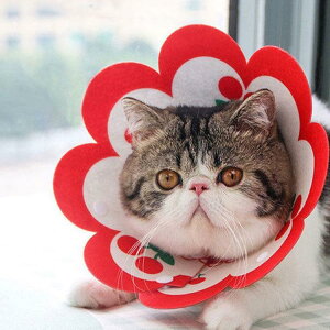 �G���U�x�X�J���[ �G���J�� ���p�@�L�p �y�b�g�p�i�@�p��ی� ��� ��p�� �R�ۏ��L �p�㕞 ���r�� ���r�� ���������h�~ ���� �畆���� ��×p ���e ��D