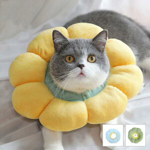 GUxXJ[ GJ p@Lp ybgpi@pی  p RۏL p㕞 r r h~  畆 ×p e D