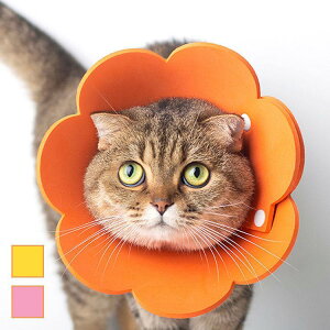 GUxXJ[ GJ p@Lp ybgpi@pی  p RۏL p㕞 r r h~  畆 ×p e D