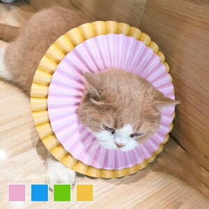 GUxXJ[ GJ p@Lp ybgpi@pی  p RۏL p㕞 r r h~  畆 ×p e D