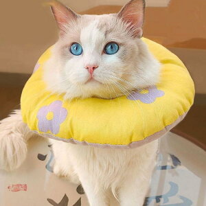 �G���U�x�X�J���[ �G���J�� ���p�@�L�p �y�b�g�p�i�@�p��ی� ��� ��p�� �R�ۏ��L �p�㕞 ���r�� ���r�� ���������h�~ ���� �畆���� ��×p ���e ��D