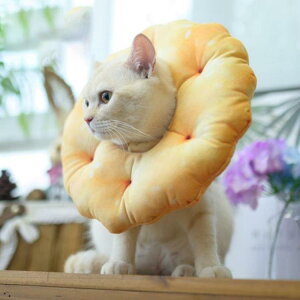 GUxXJ[ GJ p@Lp ybgpi@pی  p RۏL p㕞 r r h~  畆 ×p e D