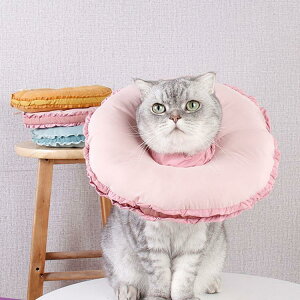 �G���U�x�X�J���[ �G���J�� ���p�@�L�p �y�b�g�p�i�@�p��ی� ��� ��p�� �R�ۏ��L �p�㕞 ���r�� ���r�� ���������h�~ ���� �畆���� ��×p ���e ��D