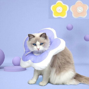 GUxXJ[ GJ p@Lp ybgpi@pی  p RۏL p㕞 r r h~  畆 ×p e D