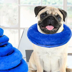 GUxXJ[ GJ p@Lp ybgpi@pی  p RۏL p㕞 r r h~  畆 ×p e D