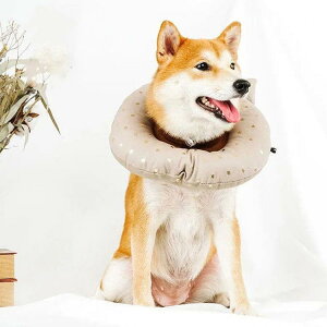 GUxXJ[ GJ p@Lp ybgpi@pی  p RۏL p㕞 r r h~  畆 ×p e D