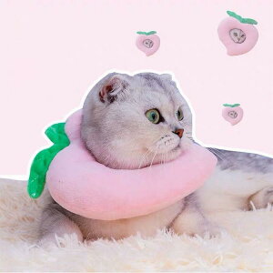 2_Zbg GUxXJ[ GJ p@Lp ybgpi@pی  p RۏL p㕞 r r h~  畆 ×p e