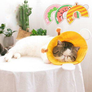 GUxXJ[ GJ p@Lp ybgpi@}WbNe[v pی  p RۏL p㕞 r r h~  畆