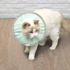 GUxXJ[ GJ p@Lp ybgpi@pی  p RۏL p㕞 r r h~  畆 ×p e D