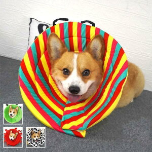 GUxXJ[ GJ p@Lp ybgpi@pی  p RۏL p㕞 r r h~  畆 ×p e D