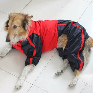 p CR[g ^ ^ J Jbp  h hbO ybg hbOEGA ybg|` ~J U o hJ ybgCObY