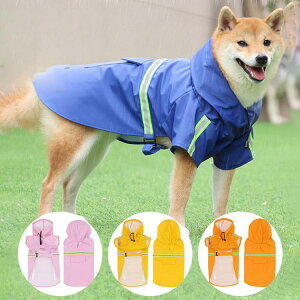 p CR[g ^ ^ J Jbp  h hbO ybg hbOEGA ybg|` ~J U o hJ ybgCObY