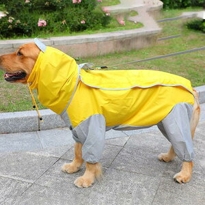 p CR[g ^ ^ J Jbp  h hbO ybg hbOEGA ybg|` ~J U o hJ ybgCObY