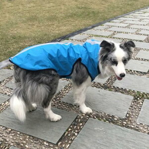 p CR[g ^ ^ J Jbp  h hbO ybg hbOEGA ybg|` ~J U o hJ ybgCObY