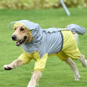 p CR[g ^ ^ J Jbp  h hbO ybg hbOEGA ybg|` ~J U o hJ ybgCObY