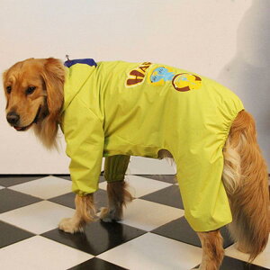 p CR[g ^ ^ J Jbp  h hbO ybg hbOEGA ybg|` ~J U o hJ ybgCObY