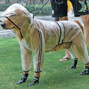 p CR[g ^ ^ J Jbp  h hbO ybg hbOEGA ybg|` ~J U o hJ ybgCObY