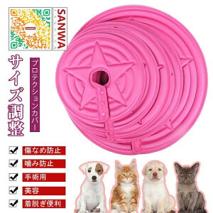 GUxXJ[ GJ p@Lp ybgpi@pی  p RۏL p㕞 r r h~  畆 ×p e D