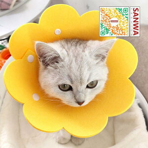 GUxXJ[ GJ p@Lp ybgpi@pی  p RۏL p㕞 r r h~  畆 ×p e D