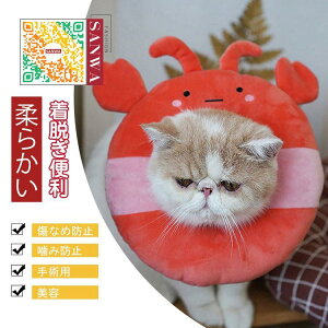 GUxXJ[ GJ p@Lp ybgpi@pی  p RۏL p㕞 r r h~  畆 ×p e D