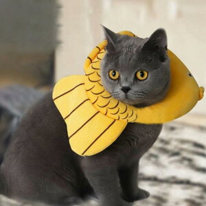 GUxXJ[ GJ p@Lp ybgpi pی  p RۏL p㕞 r r h~  畆 ×p e