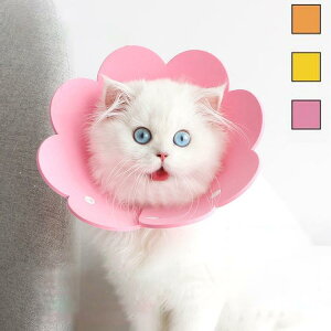 GUxXJ[ GJ p@Lp ybgpi pی  p RۏL p㕞 r r h~  畆 ×p e