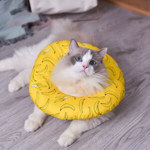 GUxXJ[ GJ p@Lp ybgpi pی  p RۏL p㕞 r r h~  畆 ×p e