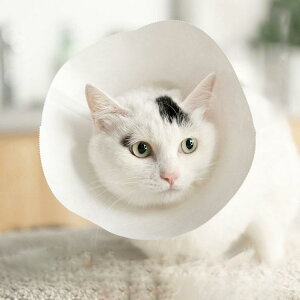 5_Zbg GUxXJ[ GJ p@Lp ybgpi pی  p RۏL p㕞 r r h~  畆 ×p e