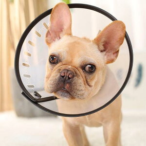 GUxXJ[ GJ p@Lp ybgpi pی  p RۏL p㕞 r r h~  畆 ×p e