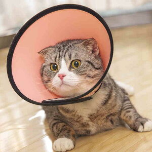 GUxXJ[ GJ p@Lp ybgpi pی  p RۏL p㕞 r r h~  畆 ×p e