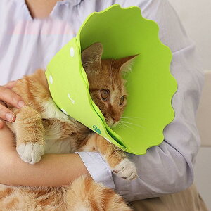 GUxXJ[ GJ p@Lp ybgpi pی  p RۏL p㕞 r r h~  畆 ×p e