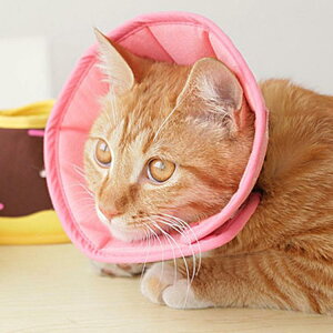 �G���U�x�X�J���[ �G���J�� ���p�@�L�p �y�b�g�p�i �p��ی� ��� ��p�� �R�ۏ��L �p�㕞 ���r�� ���r�� ���������h�~ ���� �畆���� ��×p ���e