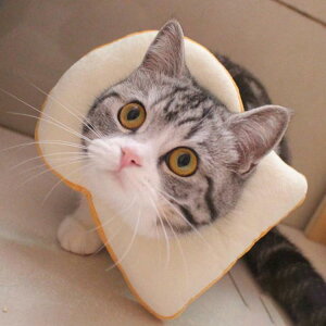 GUxXJ[ GJ p@Lp ybgpi@pی  p RۏL p㕞 r r h~  畆 ×p e D