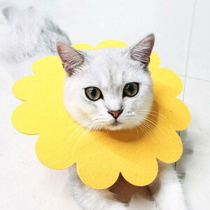 GUxXJ[ GJ p@Lp ybgpi@pی  p RۏL p㕞 r r h~  畆 ×p e D