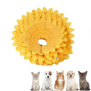 GUxXJ[ GJ p@Lp ybgpi@pی  p RۏL p㕞 r r h~  畆 ×p e D