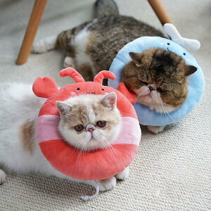 GUxXJ[ GJ p@Lp ybgpi@pی  p RۏL p㕞 r r h~  畆 ×p e D