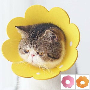 GUxXJ[ GJ p@Lp ybgpi@pی  p RۏL p㕞 r r h~  畆 ×p e D