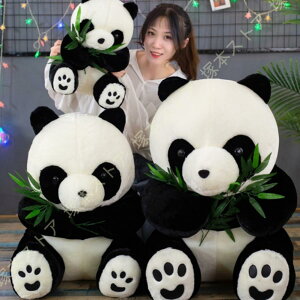  킢 ʂ݋  p_panda fJCʂ v[g ʂݔޏ NX}X av[g  p_