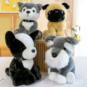 nXL[ ʂ Gh̖ A 킢 ̂ʂ p q Ƒ FB ގ ޏ a  v[gii YQ CeA