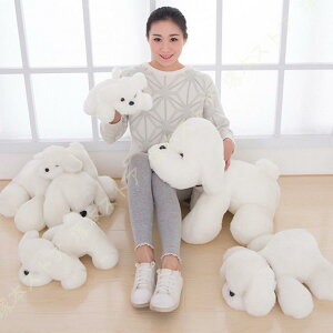 ʂ  Ck    傫 Ck ʂ Ck  j ӂӂʂ Ck D N}  ӂӂ l`