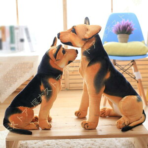  ʂ  W[}VFp[h X GG l`  n   YQ _炩 NbV 蕨 CeA