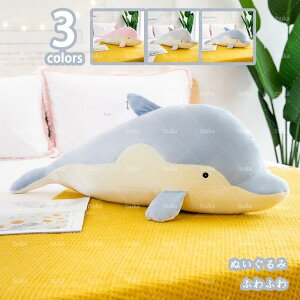 ʂ CJ  D NX}X v[g a ʂ Gӂӂ Cm  ̓ ޏ o^Cf[ sN