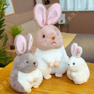 nX^[ ʂ   D 傫  YQ  ӂӂ DF l` ̎q ll v[g u X