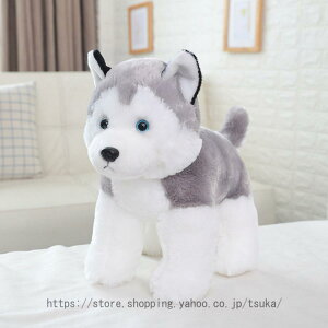 ʂ ܂   LN^[ Q _炩 NbV ӂӂ CeA  GObY ʂ  􂦂